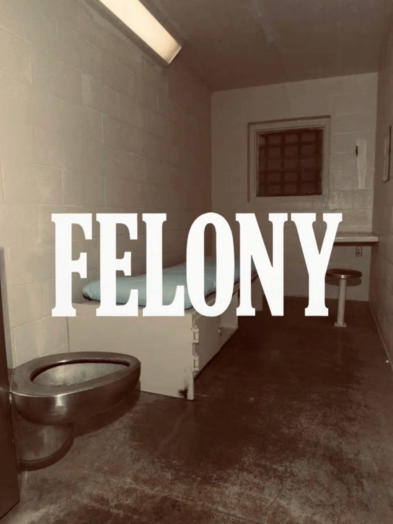Felony F25 - Noah Herbert